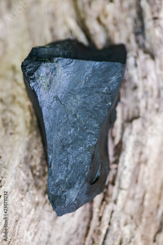 Fotografie, Obraz Natural Jet chunk from Russia on a tree bark in the forest preserve