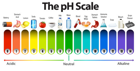 Wall Mural - A pH scale on white background