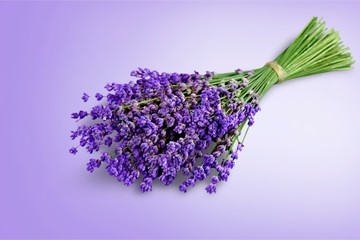 Wall Mural - Bouquet of lavender flowers on white background