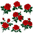 Silhouettes of red roses and green leaves