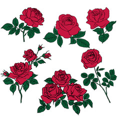 Sticker - Silhouettes of red roses and green leaves