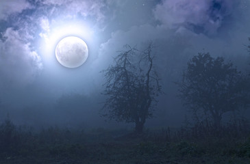 Wall Mural - Dark Foggy Garden in the Full Moon