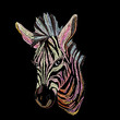 Embroidery zebra for clothing.