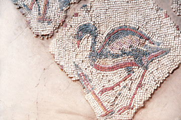 Poster - Ancient natural stone tile mosaics, Madaba, Jordan