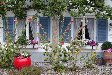 Wall Mural - Blumenschmuck an einem Haus