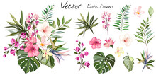 Tropical Vector Flowers. Card With Floral Illustration. Bouquet Of Flowers With Exotic Leaf Isolated On White Background. Composition For Invitation To Party Or Holiday
