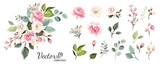 Fototapeta  - Set of floral branch. Flower pink rose, green leaves. Wedding concept with flowers. Floral poster, invite. Vector arrangements for greeting card or invitation design