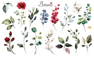 Set watercolor elements - wildflowers, herbs, leaf. collection garden and wild, forest herb, flowers, branches.  illustration isolated on white background,  leaf. Botanic