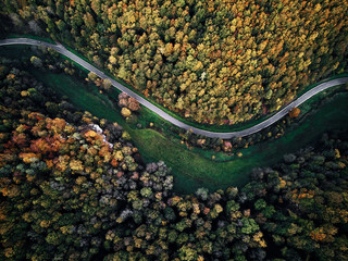 Sticker - street between autumn trees in the forest aerial drone view from above, dji mavic