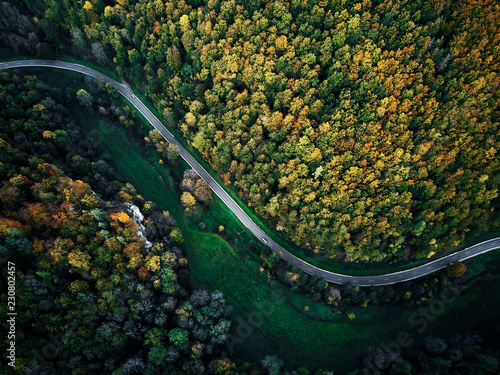 ulica-miedzy-jesiennymi-drzewami-w-lesie-powietrzny-drone-widok-z-gory-dji-mavic