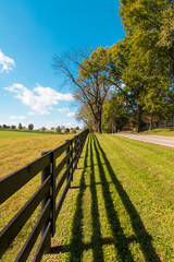 Wall Mural - Black wooden fence and shadow. Country landscape.