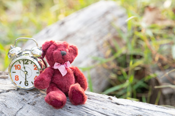 Wall Mural - Teddy Bear Doll and Retro Alarm Clock with tone