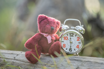 Teddy Bear Doll and Retro Alarm Clock with tone