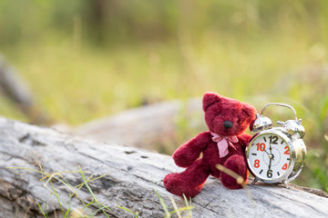 Wall Mural - Teddy Bear Doll and Retro Alarm Clock with tone