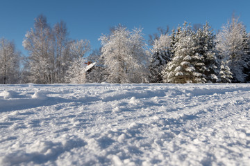 Wall Mural - Snowy winter landscape.