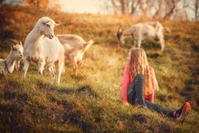 A Girl Sits On The Grass On A Hillside Near Several Grazing Goats. The Child And The Goat Are Looking At Each Other