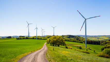 wind turbines in the field