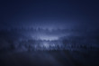 dark forest in the mountain at night with fog
