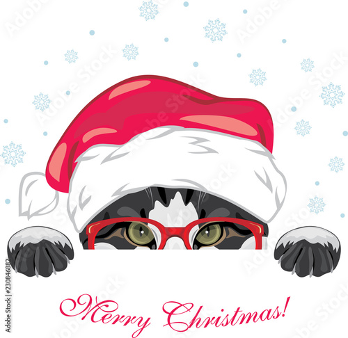 Fotografie, Obraz Peeping funny cat in a red glasses and Christmas cap