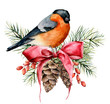 Watercolor Christmas card with bullfinch and winter design. Hand painted bird with pine cones, red bow, berries, fir branch isolated on white background. Holiday symbol for design, print.