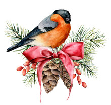 Watercolor Christmas Card With Bullfinch And Winter Design. Hand Painted Bird With Pine Cones, Red Bow, Berries, Fir Branch Isolated On White Background. Holiday Symbol For Design, Print.