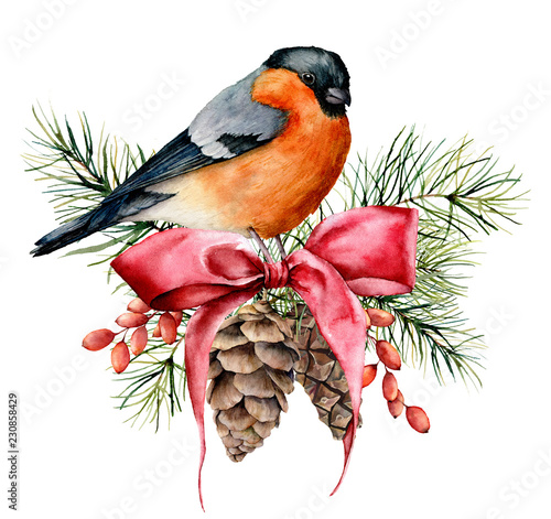 Cuadros en Lienzo Watercolor Christmas card with bullfinch and winter design