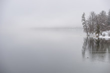 Winter Lake Covered In Fog