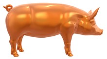 Yellow Golden Pig Isolated On White Background 3d Illustration