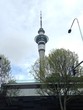 NewZealand Auckland Skytower