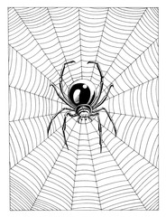 Spider web 2