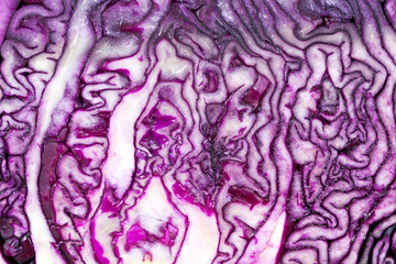  purple cabbage sliced
