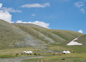 Wall Mural - Mongolian pasture ang yurts