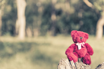 Wall Mural - teddy bear sitting lonely on ruins wood with tone