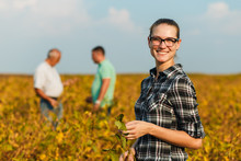 Group Of Farmers Standing In A Field Examining Soybean Crop Before Harvesting. Young Female Farmer Looking At Camera.