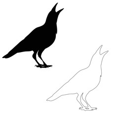 Wall Mural - vector, isolated silhouette of crows, bird outline