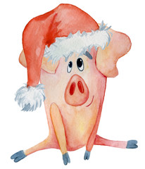 Canvas Print - Cute Christmas pig Sanata hat Watercolor  illustration