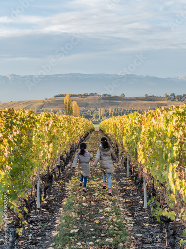 Fotografie, Obraz Enfants courant dans un vignoble Suisse en automne dans le Genevois