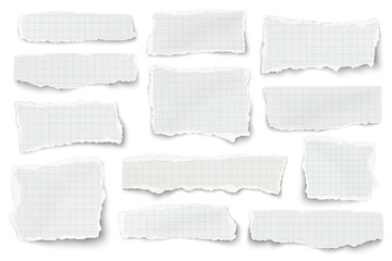 Wall Mural - Set of checkered paper different shapes scraps isolated on white background. Vector paper template.