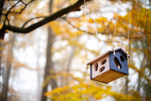 Colorful Bird Feeder In The Autumn Mist Park Buy This Stock