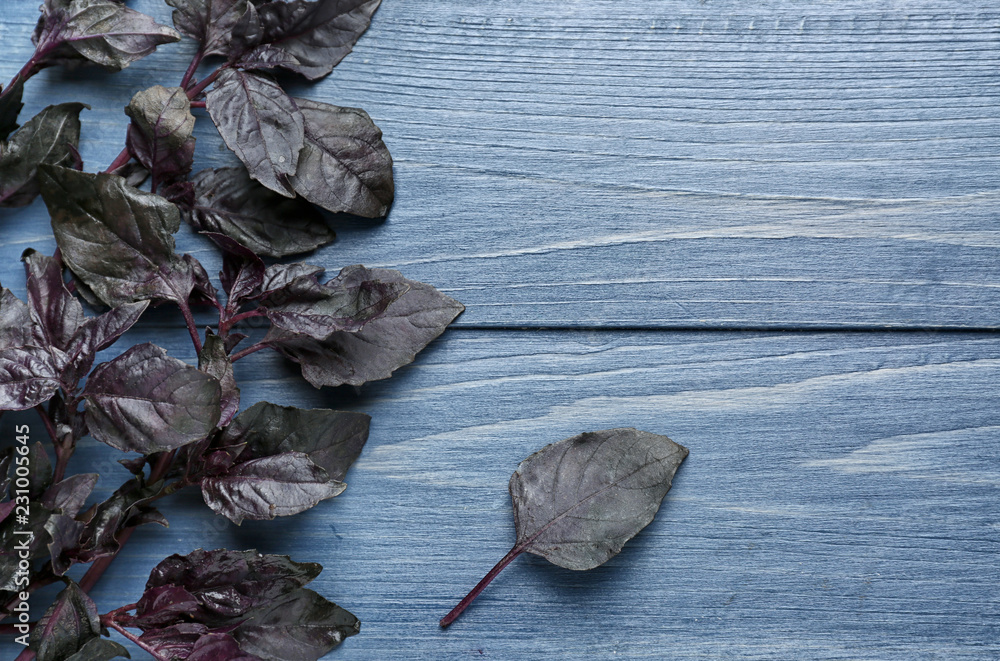 Fresh aromatic red basil leaves on color wooden background