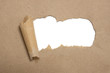 torn brown package rolled up curvl paper with blank white copyspace