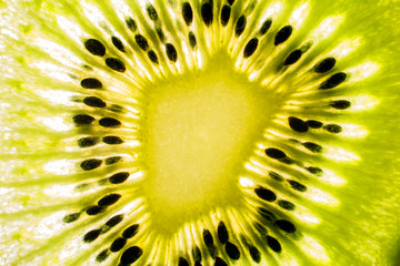 kiwi macro background