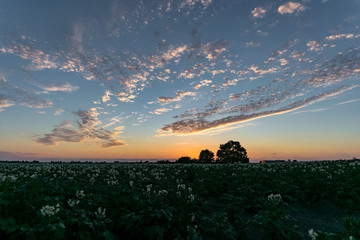 Sticker - Beautiful sunset with clouds over the dutch countryside near Gouda, Holland