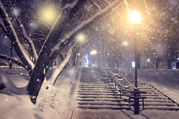 Wall Mural - Winter park at night. Christmas background