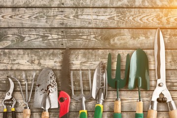 Poster - Row of gardening tools on soil background