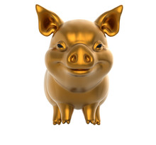 The Golden Pig  Isolated On The White Background
