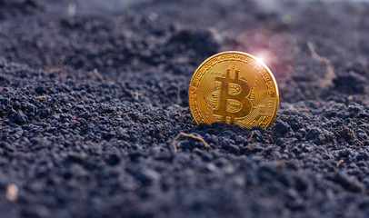 The bitcoin coin in a ground with a copy space. Minimal background.