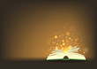 Magic book. Open book with magic lights with place for your text. Vector illustration.