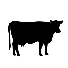 Cow Black Silhouette Icon