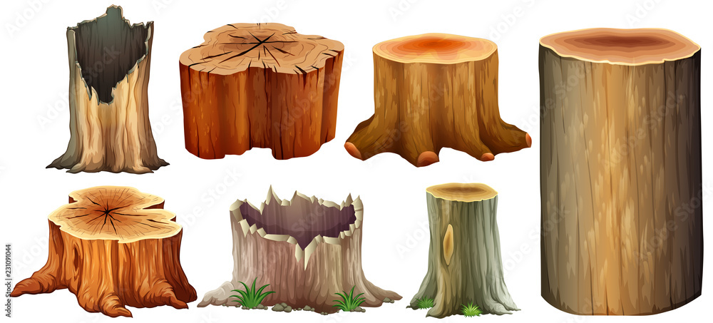 Different type of tree stump - obrazy, fototapety, plakaty 